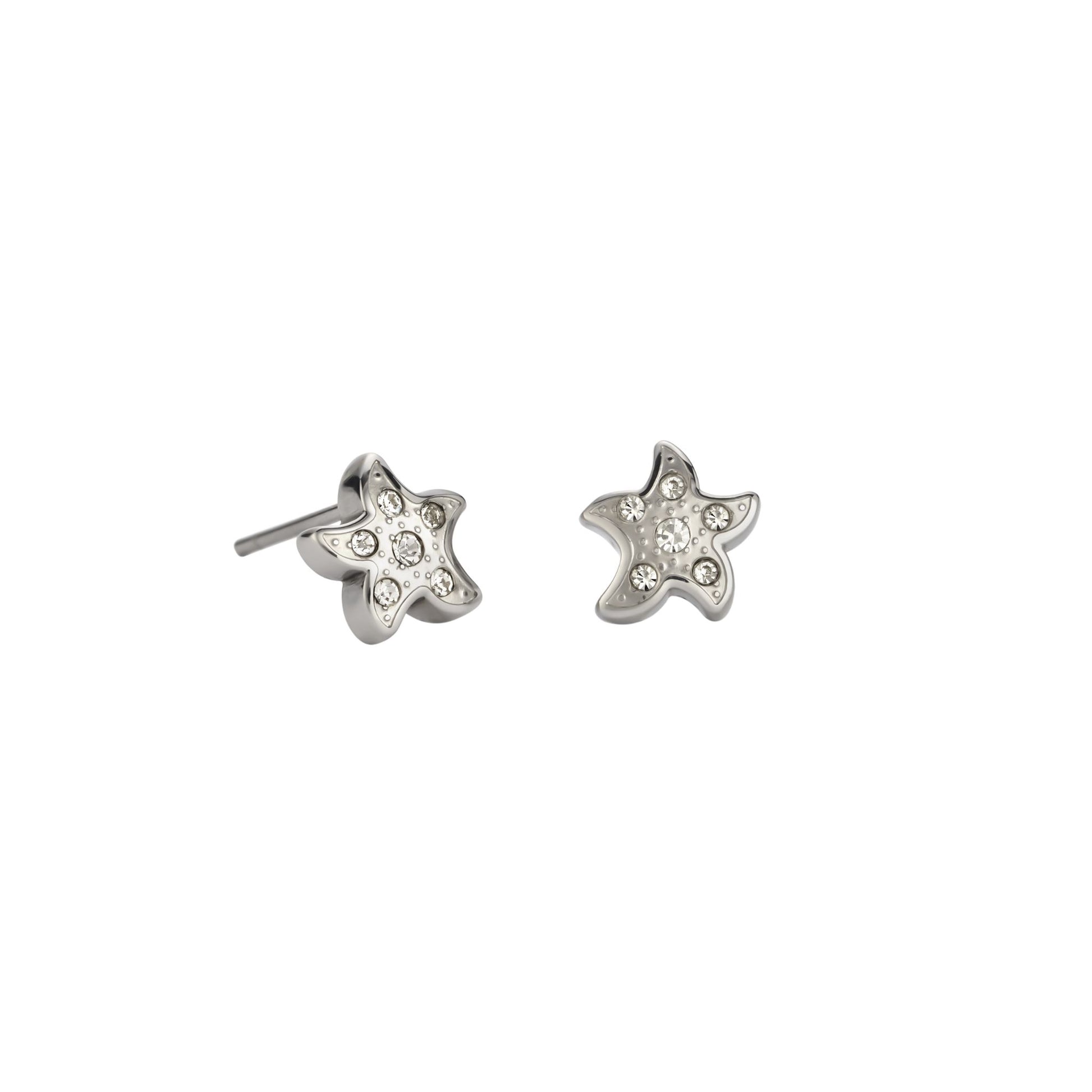 Puces d'oreilles étoile de mer